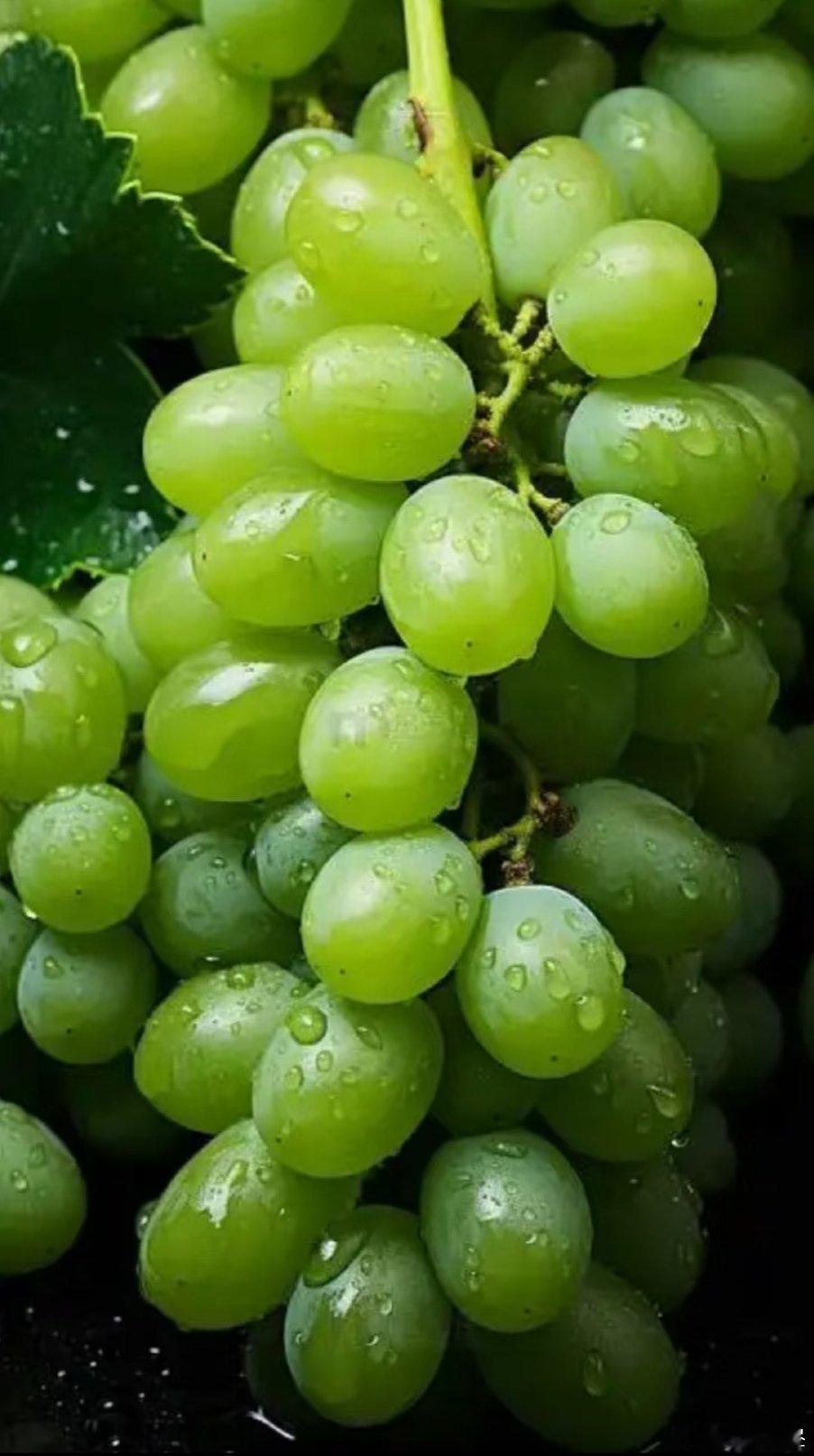 青提的种植方法深耕作：选择排灌方便、土壤肥力较好、通风、光照好的地块。深翻使土