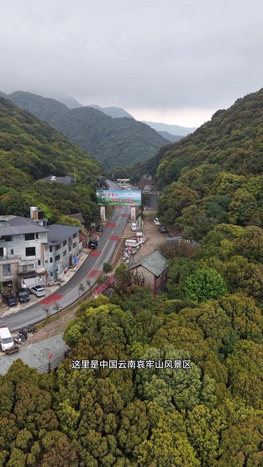 🪵这里是云南哀牢山金山垭口，镇沅县的这片山水太治愈了！从镇沅沿公路往南，很快就