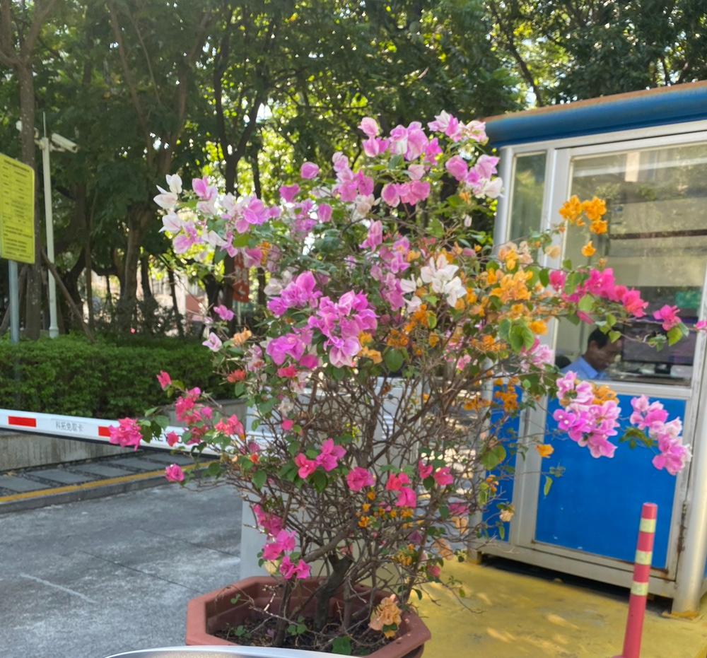 你去外地出差，遇到一个和你长的一模一样的人，俗称撞脸。你不要觉得这只是巧合，其实