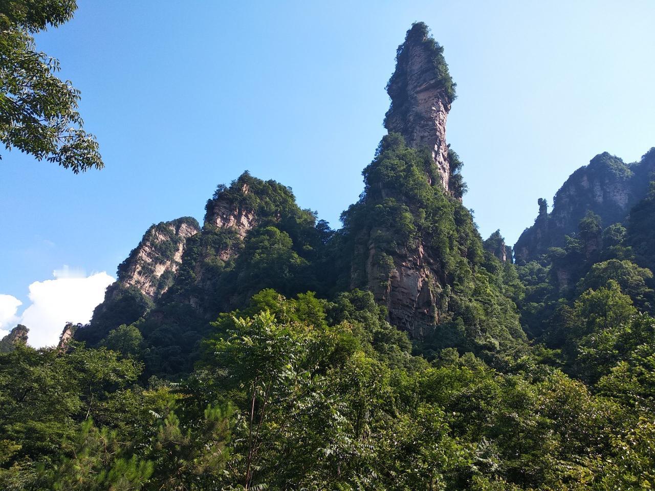 村子里的食堂关门了我们村的食堂是几年前办起来的，带有慈善性质。它提供午餐一