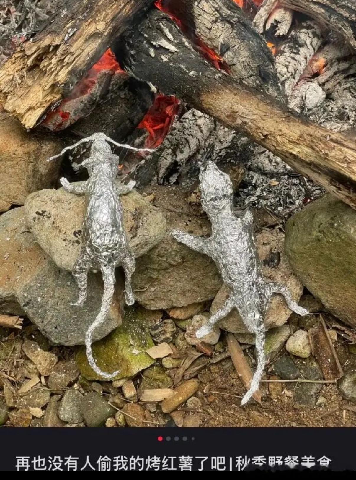 5463传出去中国人连老鼠都敢吃​​​