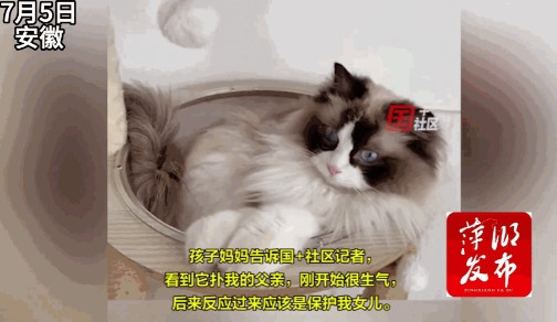 万物皆有灵！7月5日，安徽池州，家猫看到家里进了陌生男子，还朝小主人的房间走去，