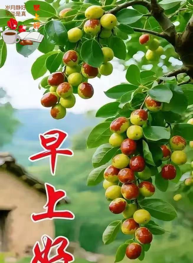 早上这好天气，感觉连空气都带着股清甜劲儿！出门买水果，那一个个都新鲜得能掐出水来