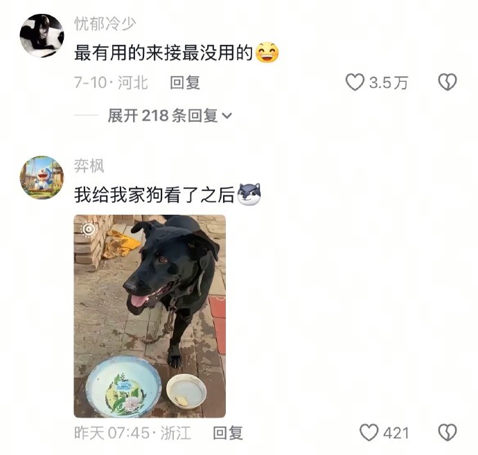 狗叔:没事别瞎走，净给我添麻烦