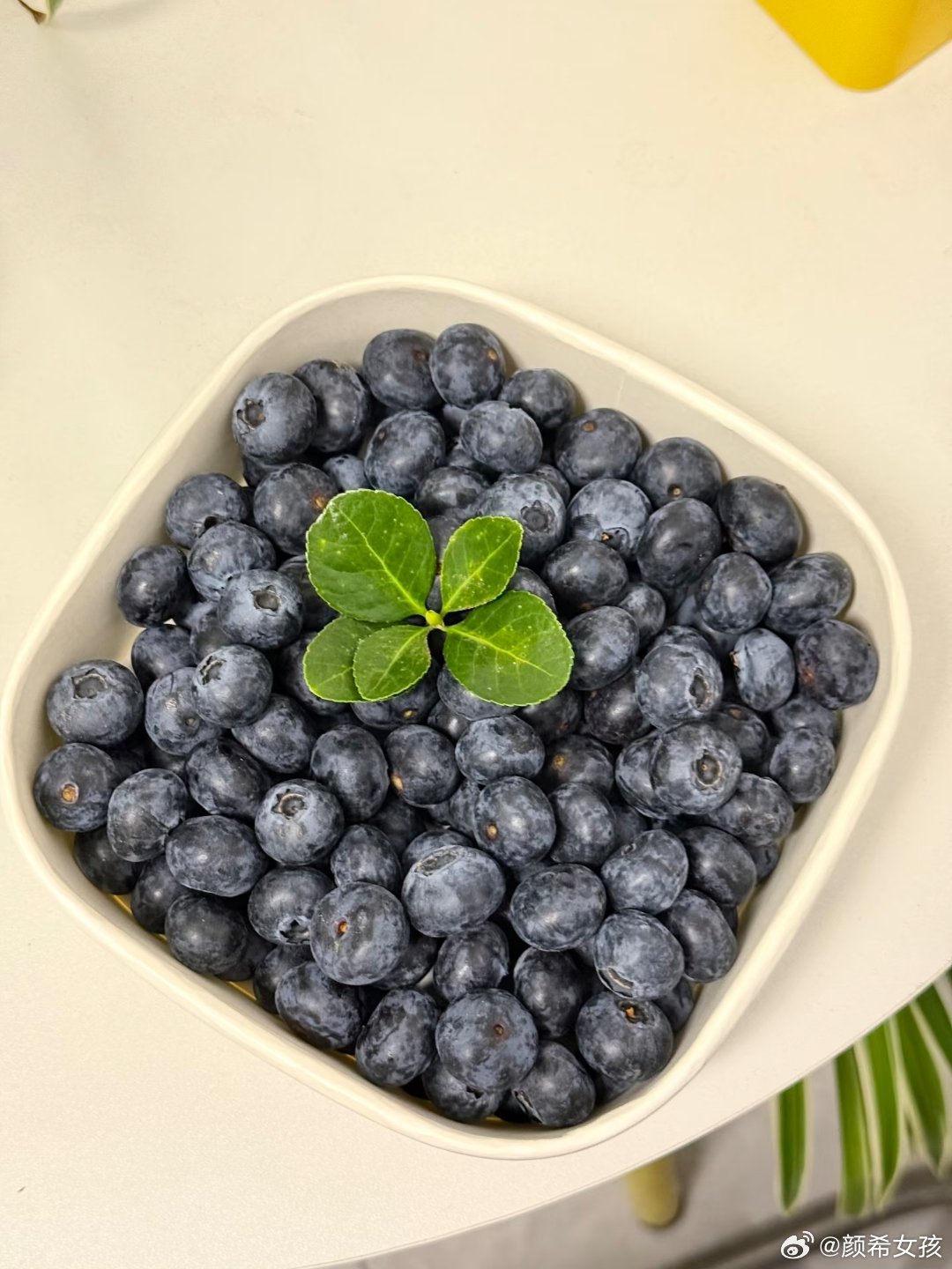 把蓝莓当消炎药吃我只知道吃蓝莓对眼睛好！！富含花青素，可以促进视网膜视紫红质再生
