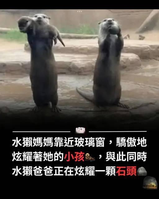 啊啊啊啊啊啊啊啊啊啊啊🤣