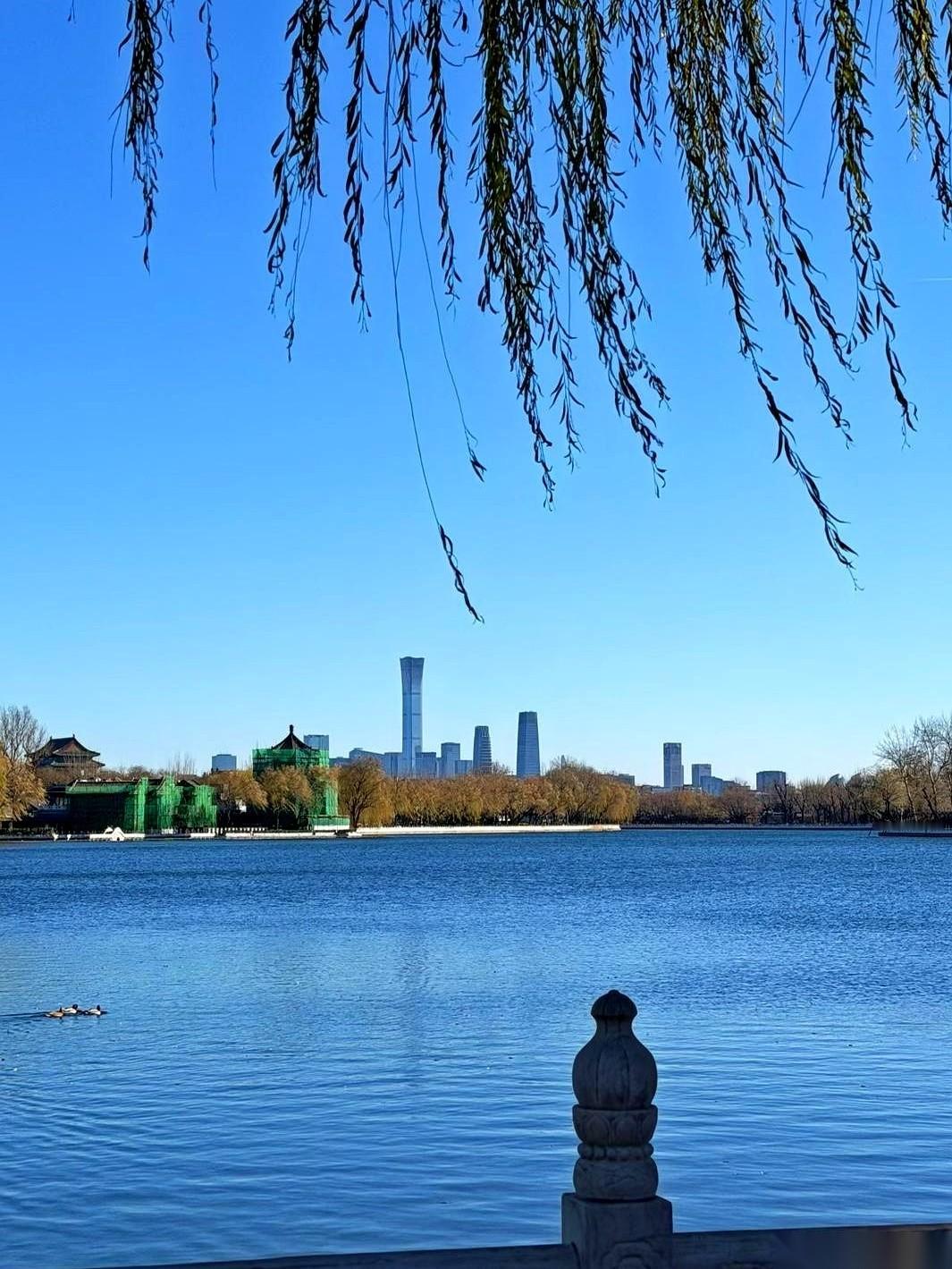 看着我老公裹着被子咳得像个破风箱，我就想笑，又有点心疼。非说要坚持，大冬天的天