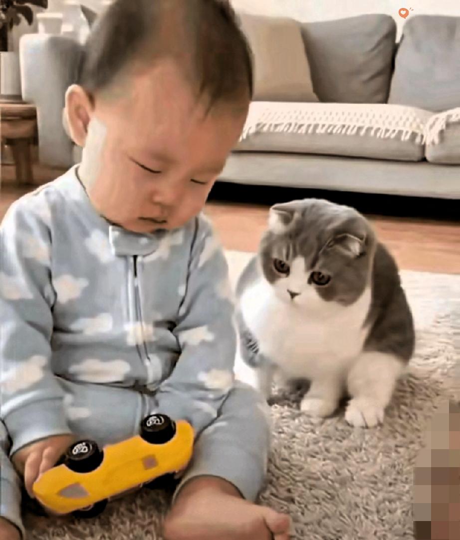 宝妈做饭让猫咪陪娃玩，这小猫直接化身超靠谱带娃保镖，暖心到爆棚！宝宝玩小汽车