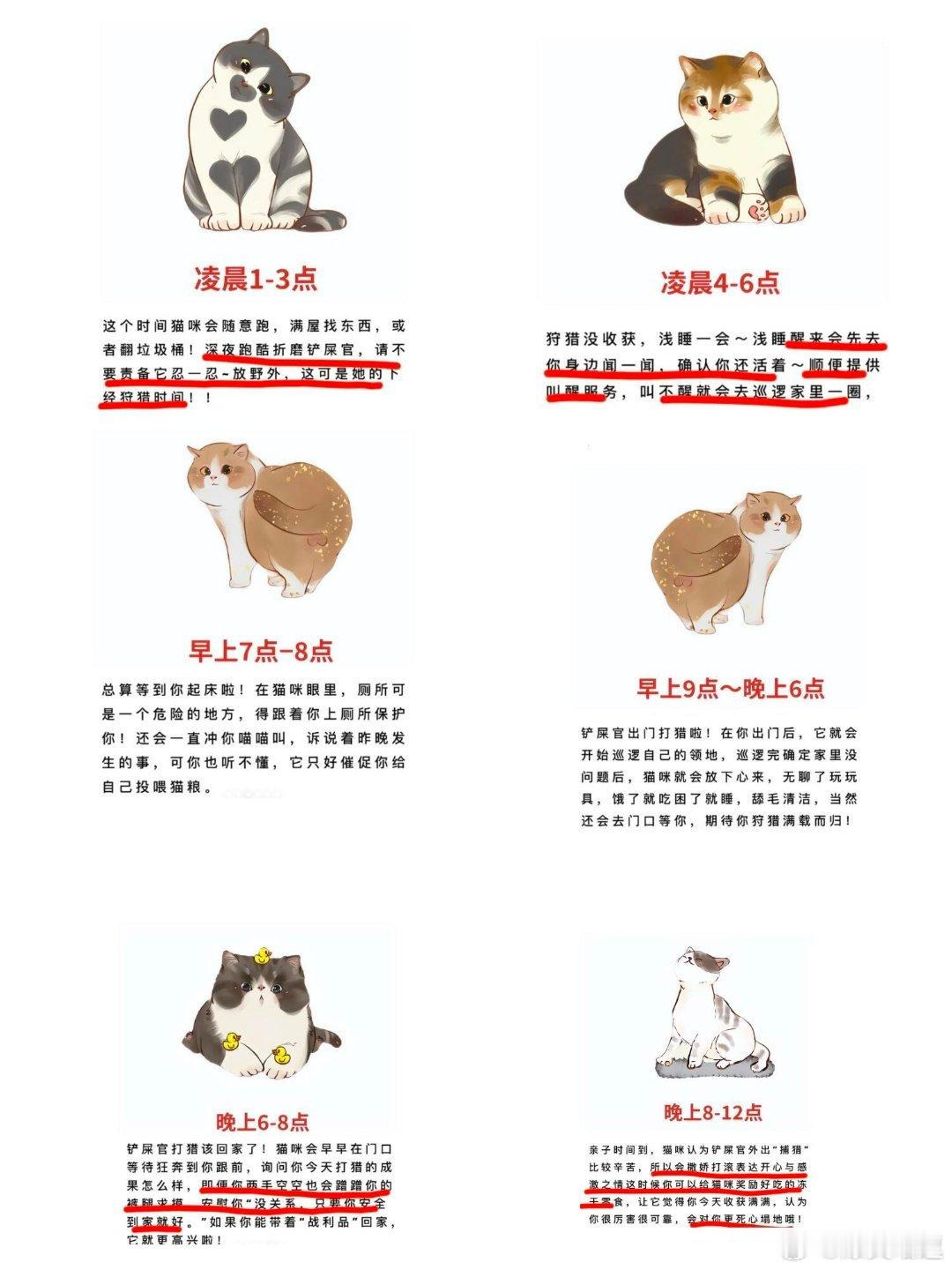 猫咪一天到底有多忙你知道猫咪24小时都在做什么吗？比你想象中的要忙，而且每个时间