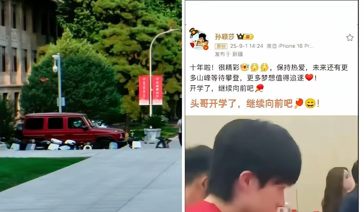 头哥开学了，继续向前吧！这届网友解读能力真强啊！莎莎入国家队十周年，更新的动