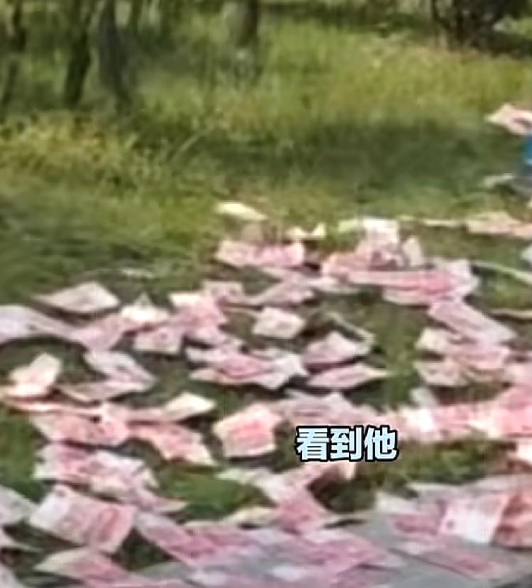 这应该是成都心理素质最好的男人四川成都天府大道中段草坪上排的满满的全都是人民币