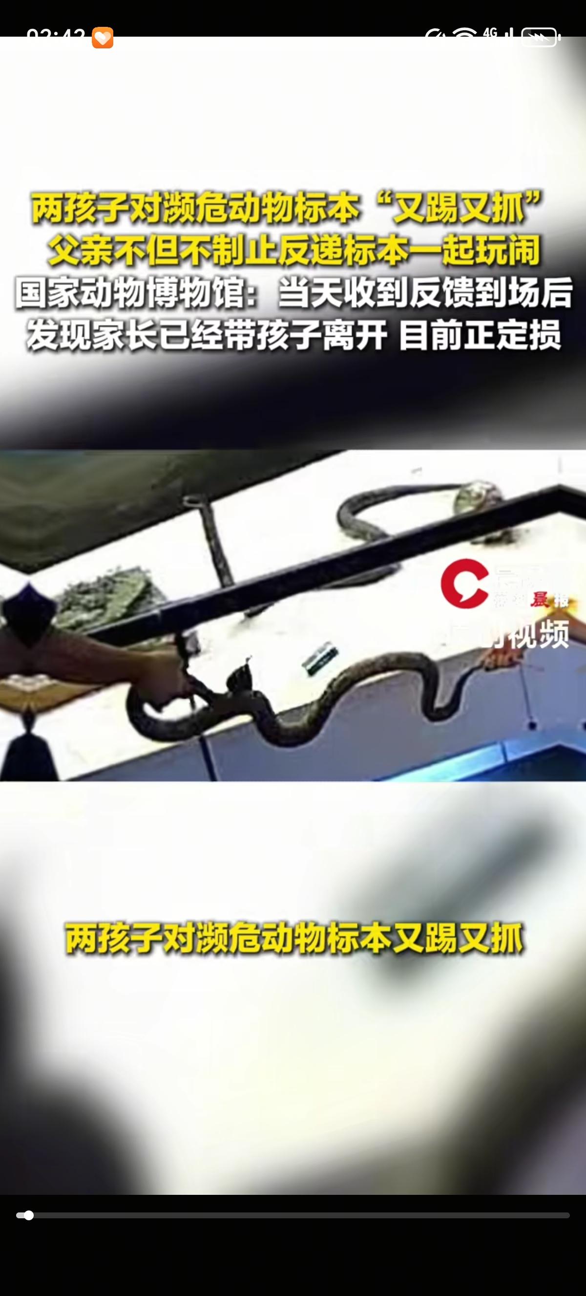 爸爸看着儿子在动物博物馆里从展台上直接把蛇标本抓在手里玩，又是踢又是抓的。爸爸还