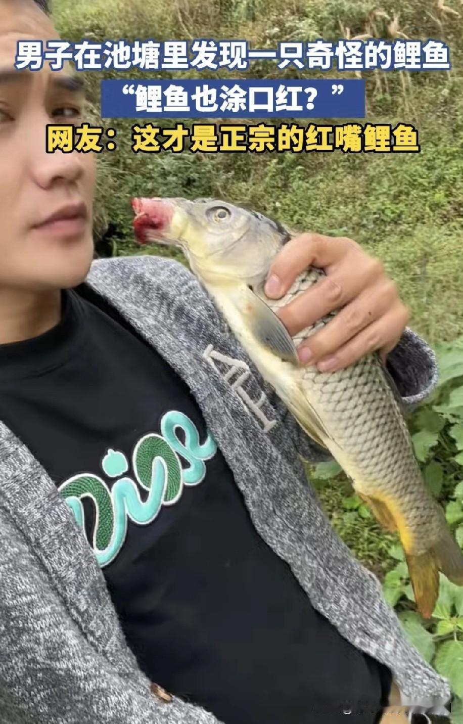 男子在池塘钓鱼时，无意间发现一条鱼，它的嘴插在水管里。男子满心好奇，便下水将鱼捞