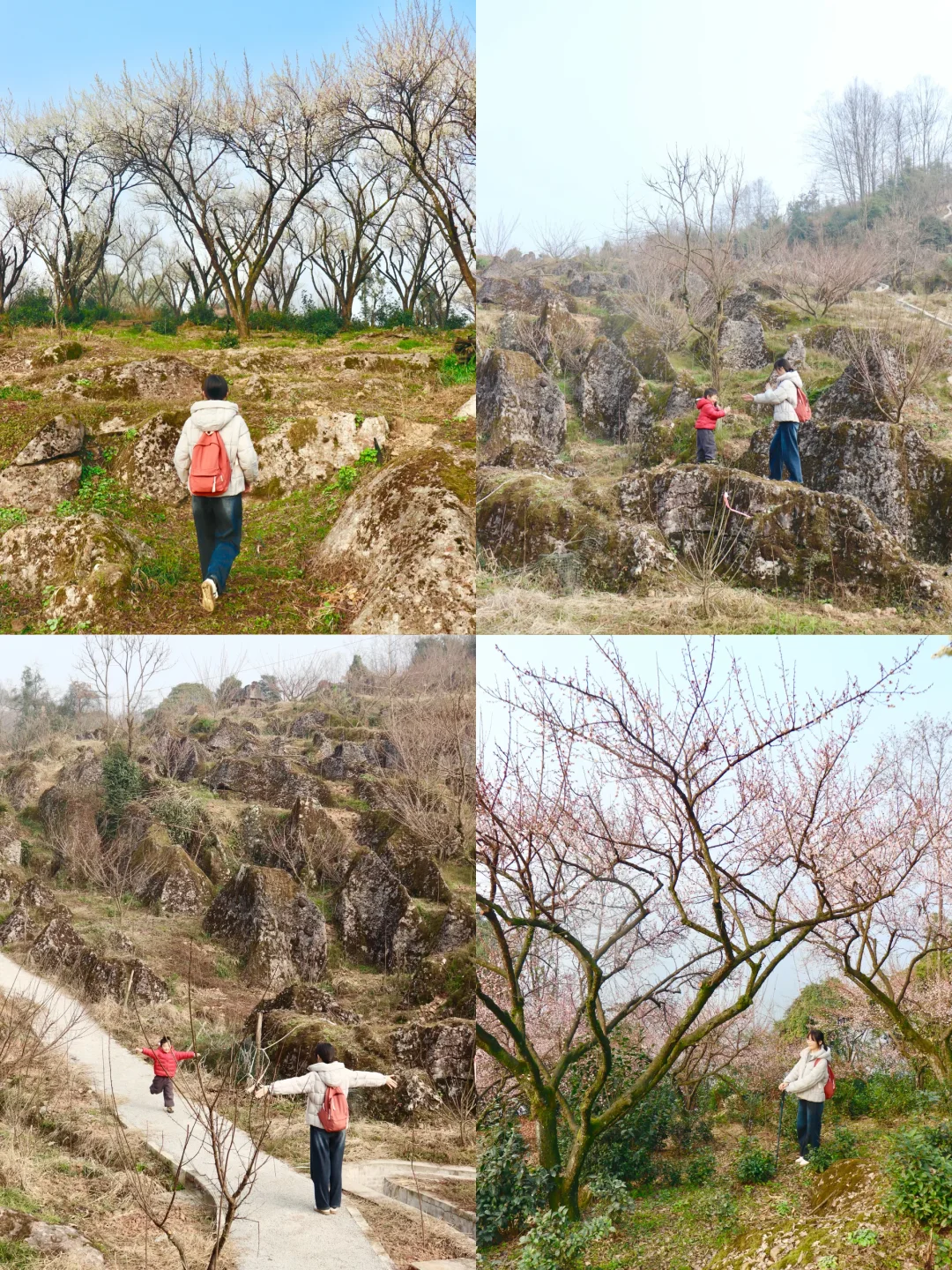 成都1.5h | 怪石奇林，🌸赏花徒步天花板❗️