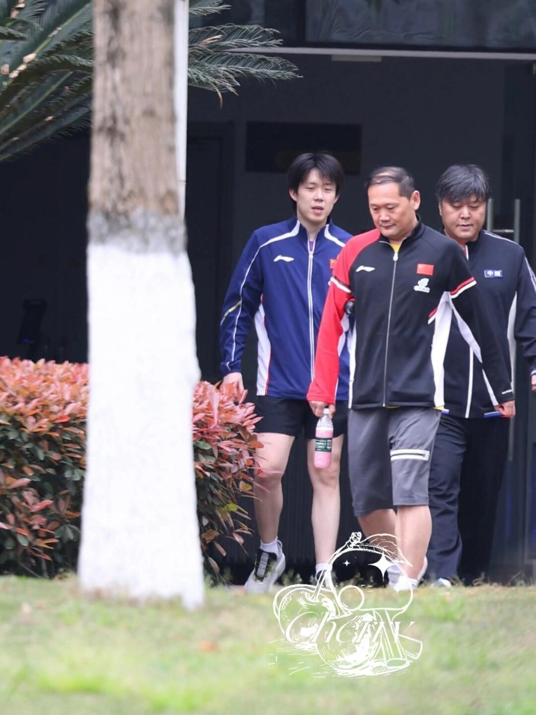 王楚钦又训练了，好像变得白嫩了！楚钦换完教练后发现整个人都好起来了，自由自在，