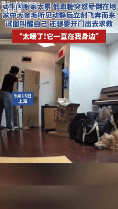 这狗太仁义了！上海一女子在搬家时因为低血糖突然晕倒在地，摔倒在地发出“咚”的一声