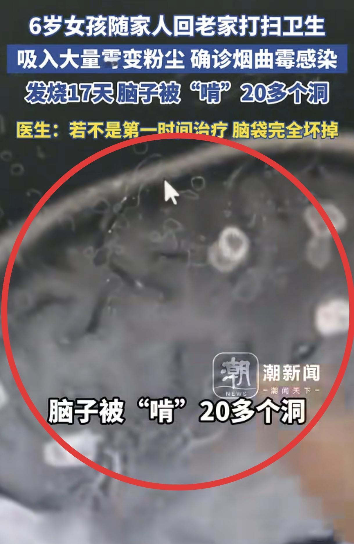 “看得脑壳发麻！”6岁女孩跟着父母回老家打扫卫生，由于老家空置已久，打扫起来粉