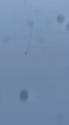 导弹打飞机的画面，从来没有看到过这么清晰的，导弹追飞机，仿佛就像食肉动物追捕食草