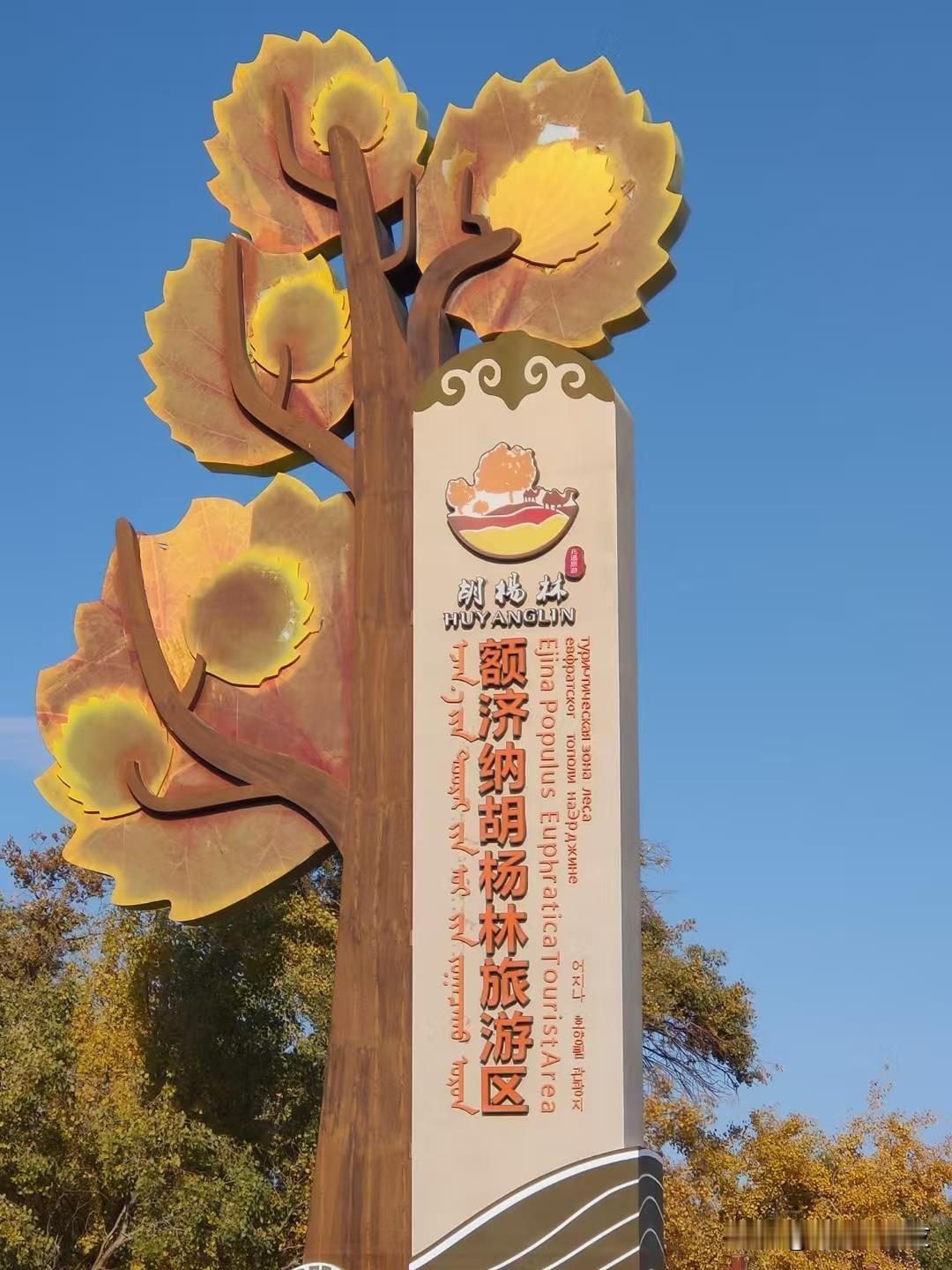 额济纳胡杨林：千年不朽的金色史诗，秋日限定的视觉盛宴在内蒙古阿拉善盟额济纳