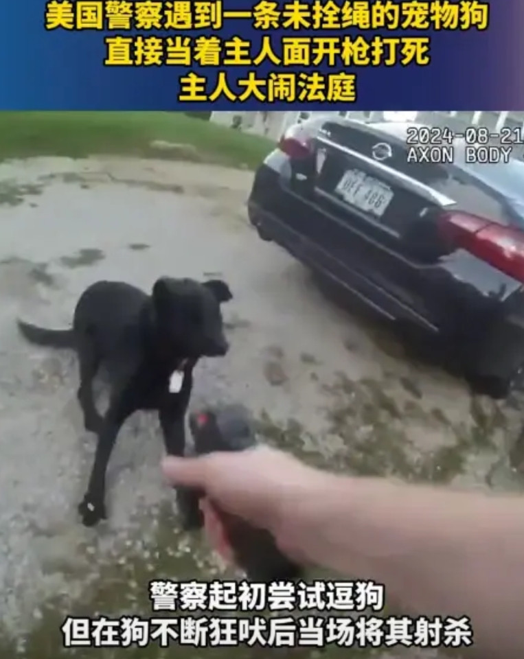 2024年8月，美国警察被一条没栓绳的宠物狗狂吠，他直接当着主人的面把狗击毙了，