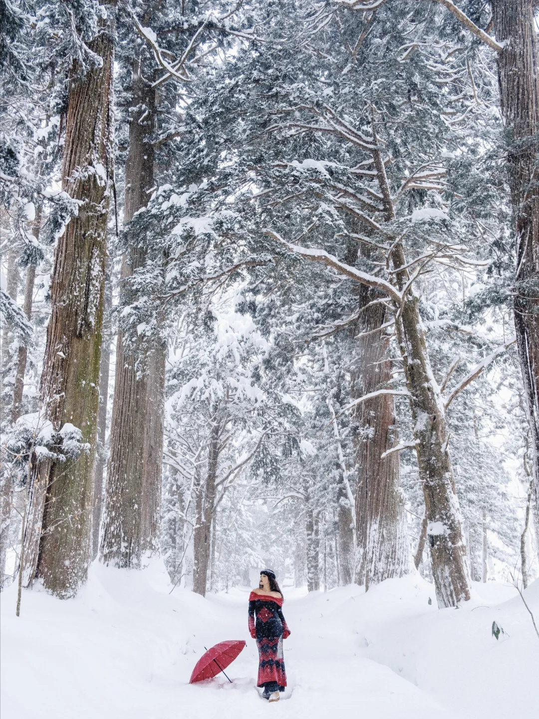 日本旅行⛩️被暴雪中的巨杉森林震撼到了