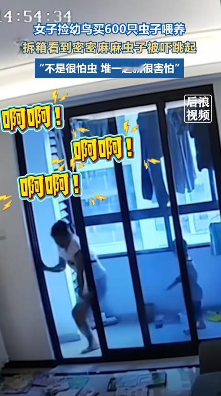 “笑岔气了！”浙江一女子在马路上，捡到一只虚弱的小鸟，看网上说吃虫才能活，就网购