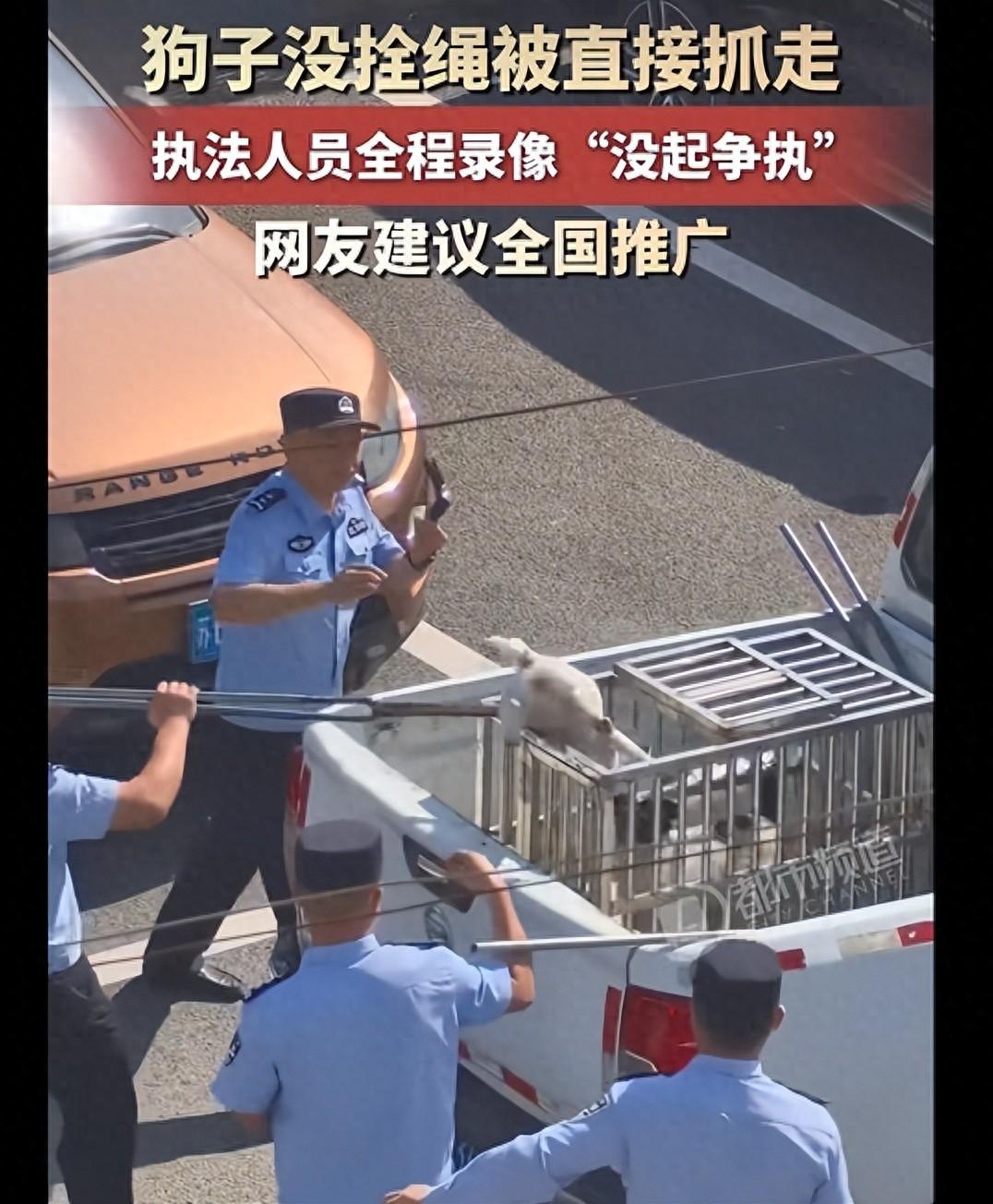 建议全国推广！江苏街头，几个执法人员走在路上，看到一只没有拴绳的狗，二话不说，直