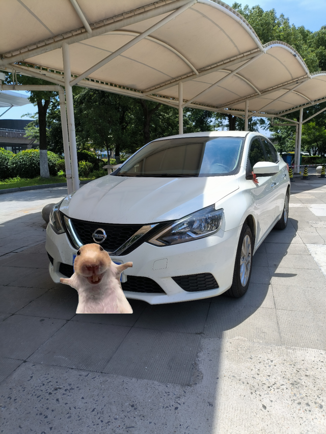 评价一下24款轩逸的驾驶感受1.6L省油，有点动力，超车提速一般，但超肉车足