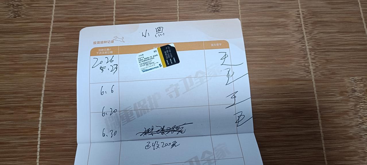 今天是小黑打齐全部疫苗的日子。自5月21号它被主人无情丢弃在我家门口，已经过去了