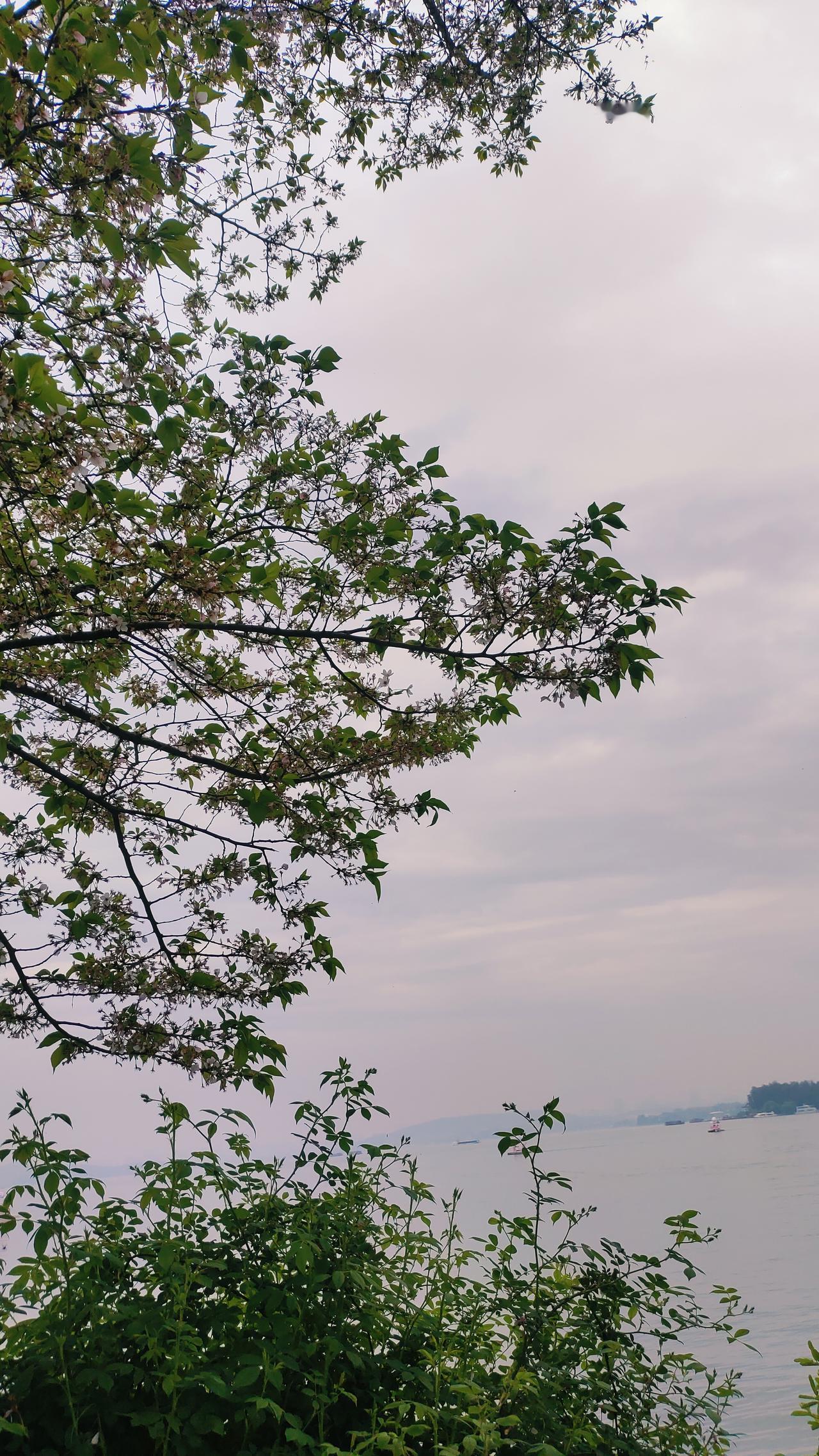 很多女人不知道能把坚持把孩子带大把一家人生活维持住已经很不容易了，一家人