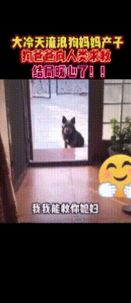 家人们，真的相信万物皆有灵！这可不是什么玄幻故事，是实实在在发生