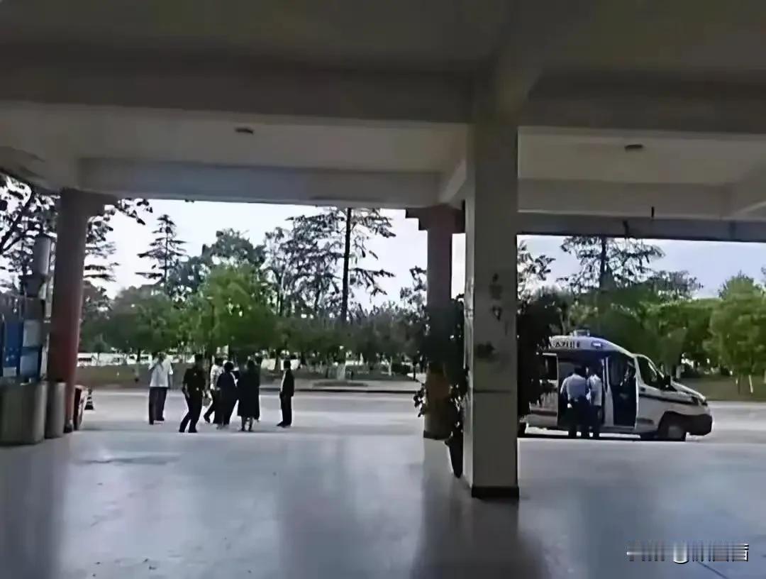 老实教师遭当众掌掴被逼跳楼，校园霸凌真相触目惊心谁能想到，本该纯净的校园，