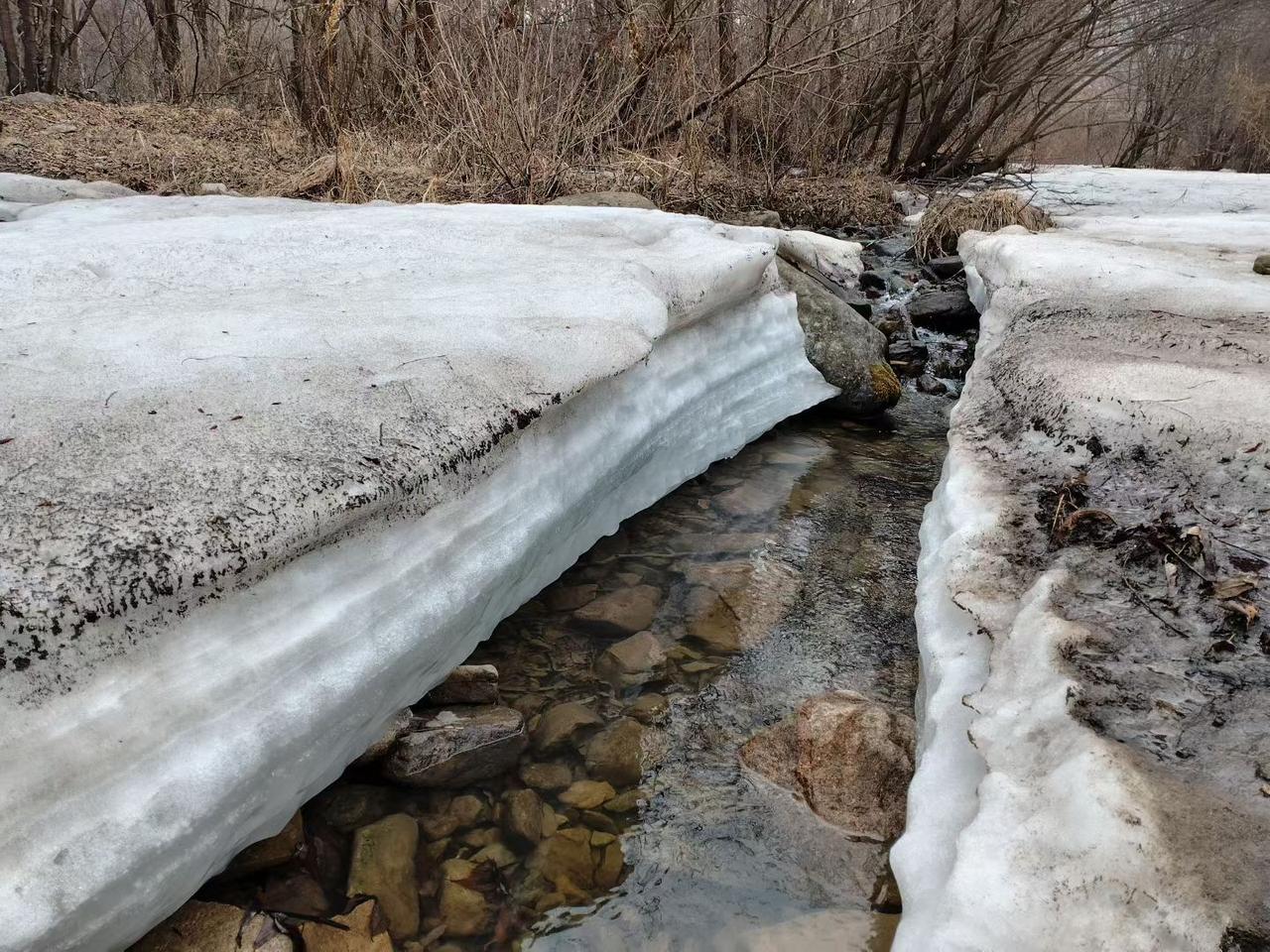 与痛风斗争的历程208早上起床，浑身关节还算正常，只是左膝关节和左肩