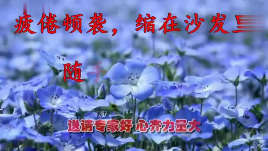 赤脚医生向阳花简谱_赤脚医生向阳花图片