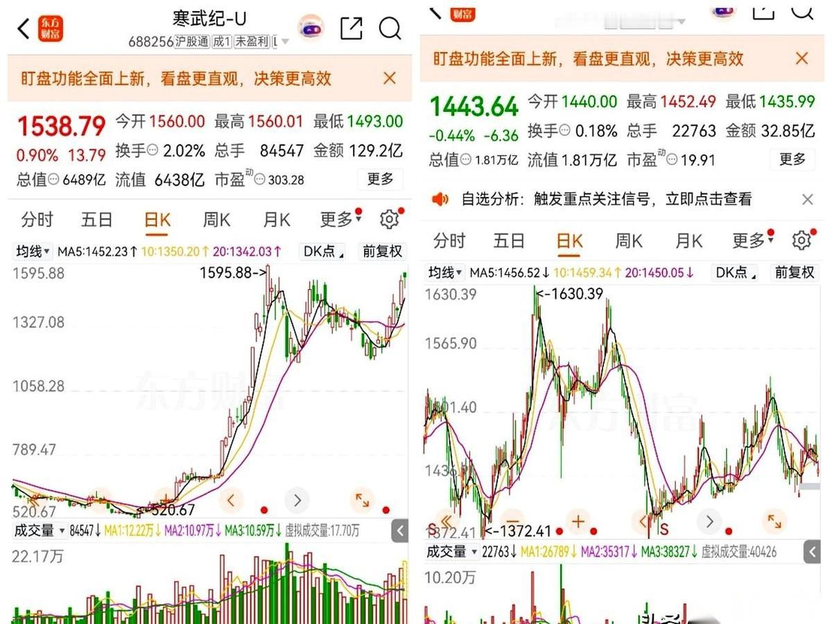 今天中午我瞅了一眼盘面，好家伙。寒武纪，1538。贵州茅台，1443。一个