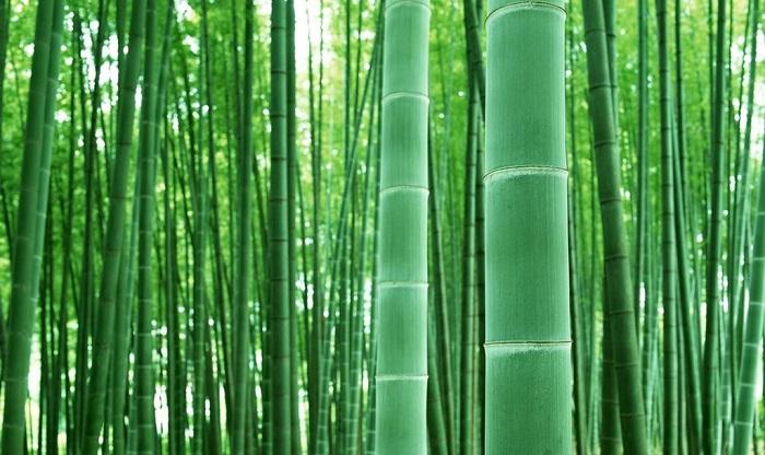 别看平时我们网上买东西、拆快递都习惯一撕就扔的小塑料袋，这玩意表面不起眼，却一直