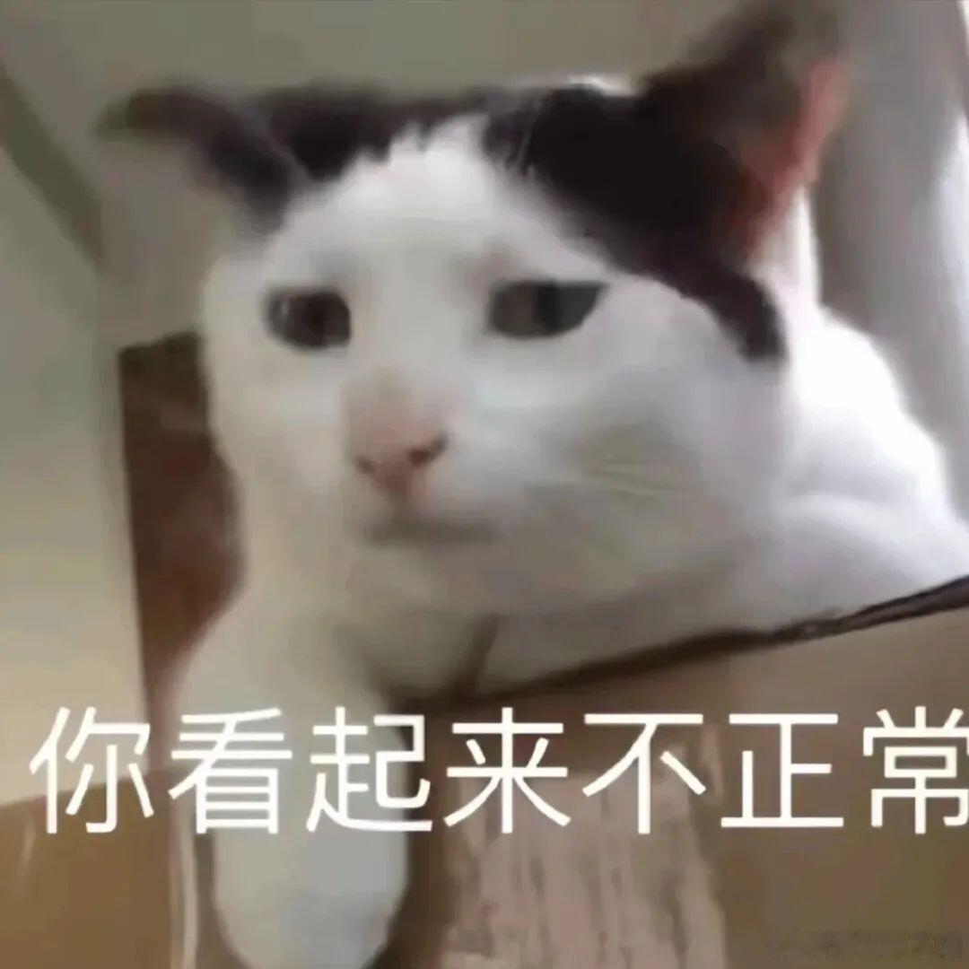 徐波代孕这不是细思极恐，这是粗思也极恐，这是在干嘛