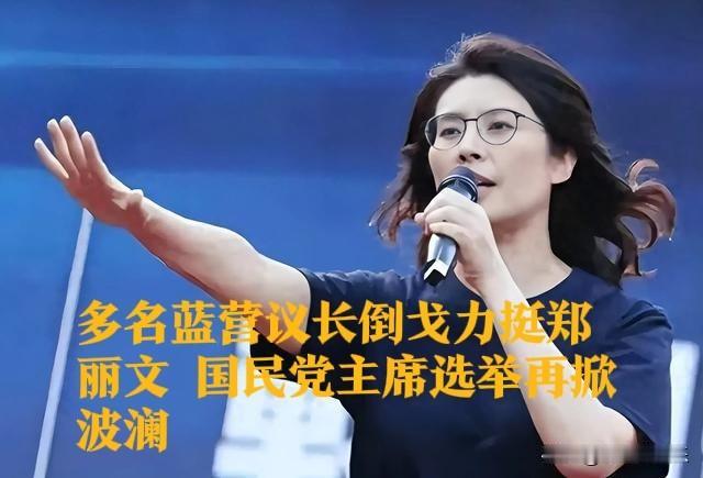 ‌多名蓝营议长倒戈力挺郑丽文国民党主席选举再掀波澜‌【海峡导报10月