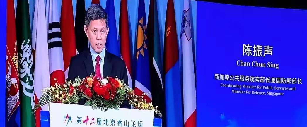 听完新加坡防长在北京那番话，我后背都有点发凉。他说：一个国家一旦沦为代理人或