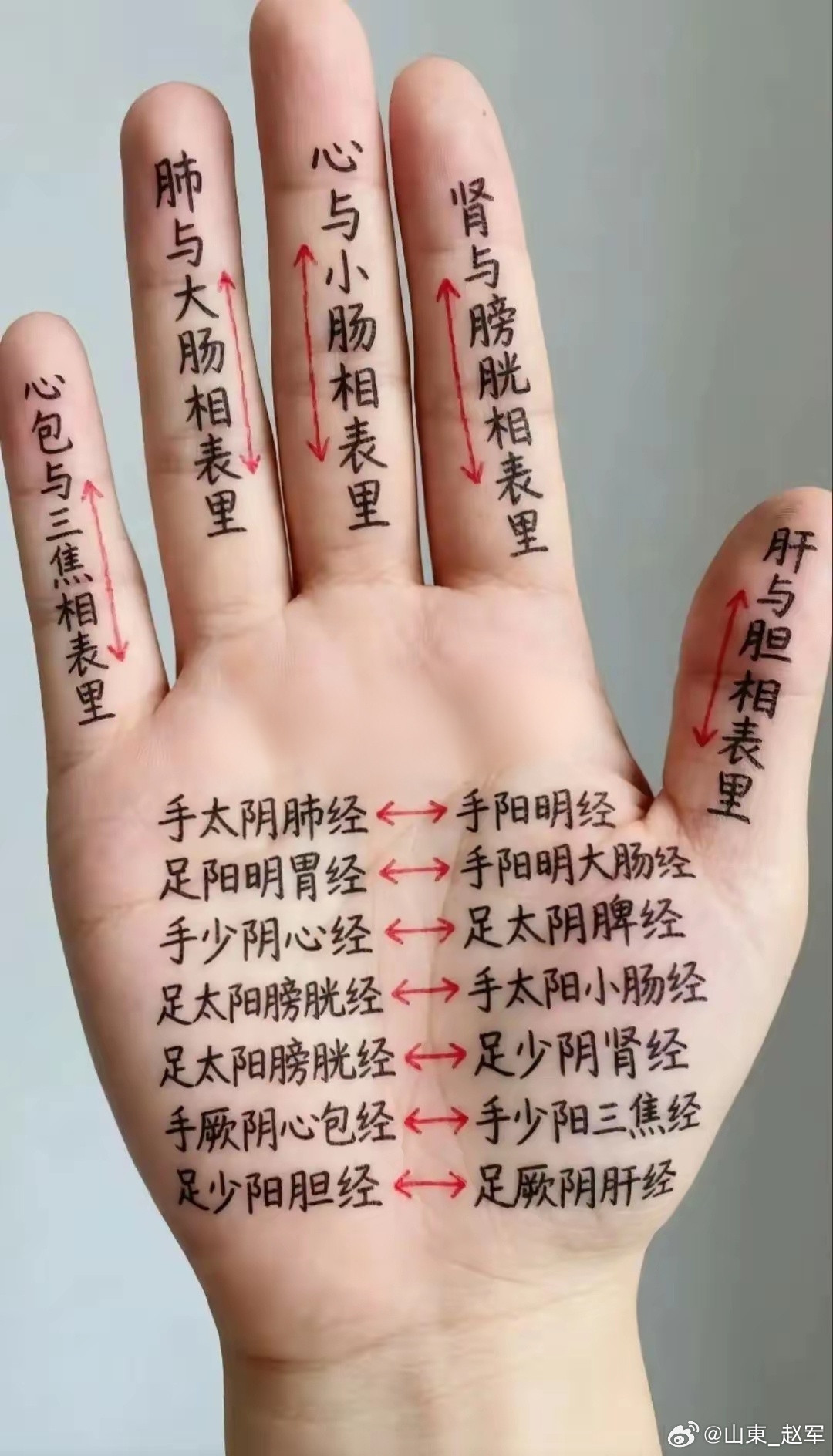 背痛背痛多由气血壅，风寒湿痹入经中。久坐劳损伤筋骨，情志郁结滞络通。阳虚寒凝肩背