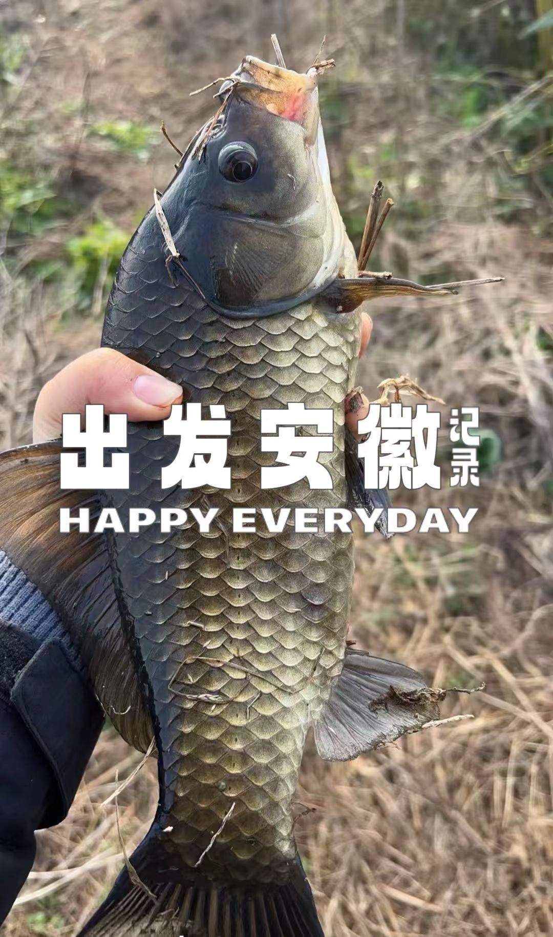 再次出发！钓鱼的乐趣只有钓鱼人懂钓鱼人就是这么疯狂钓鱼技巧