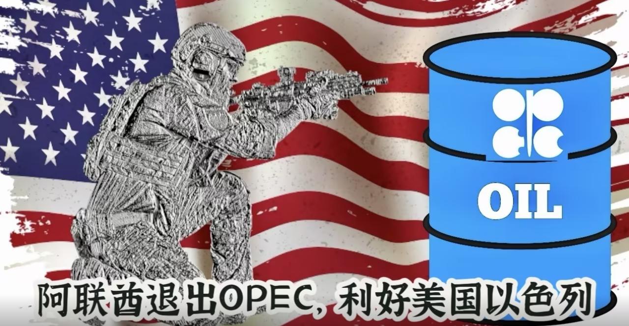 阿联酋突然“退群”OPEC，这波操作其实是冲着伊朗去的。阿联酋突然扔出的“退