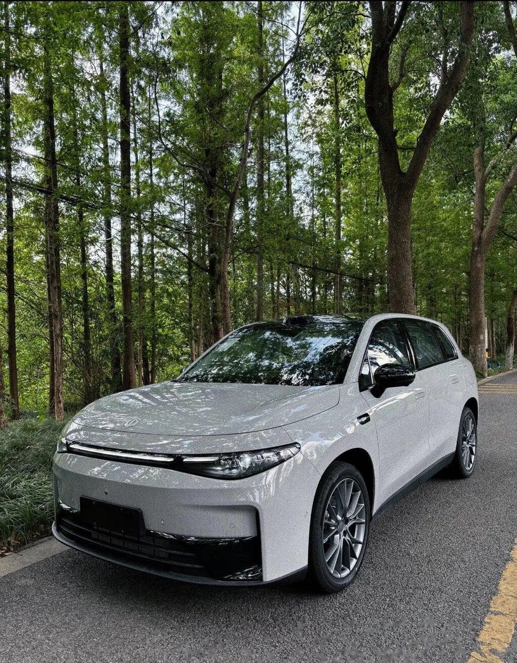 零跑C10定位中型家用SUV，提供纯电、增程两种动力。12万级价位，标配后五连杆