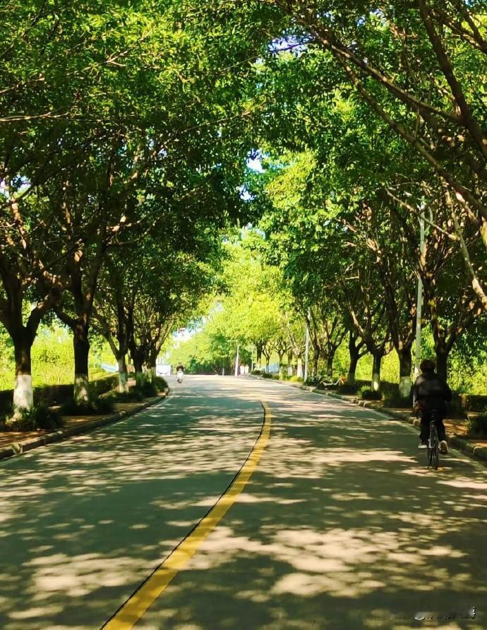 大学毕业生找工作越来越难了，我儿子大四，马上毕业了。今年的秋季招生已经完了，不