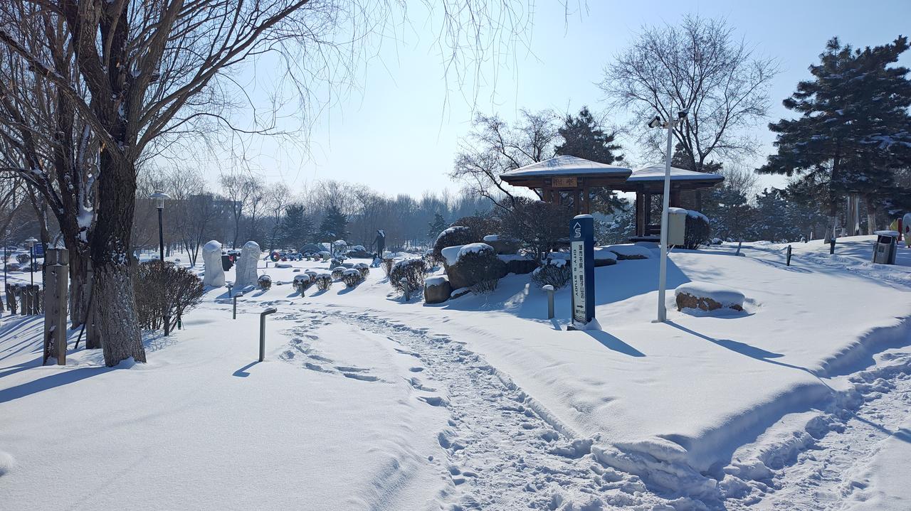 《沈阳天气剧本杀：速冻饺子警告！》各位盛京居民请注意！您的2025冬季体验