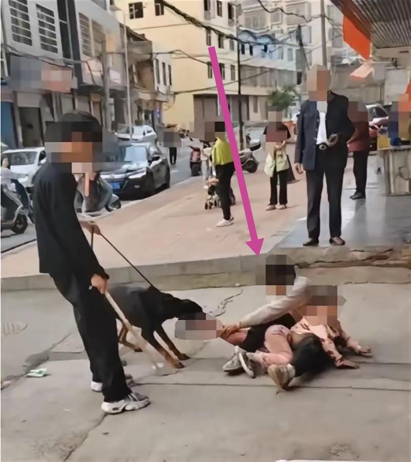 成都这条养犬新规一出，直接打破了以往的相处常态，8月1日正式实施后，所有人的出行