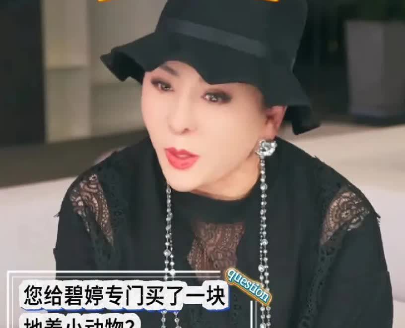 向太：“我给郭碧婷买了好几块地，给她养了一两百只宠物店，买的地都是连着的，刚好是