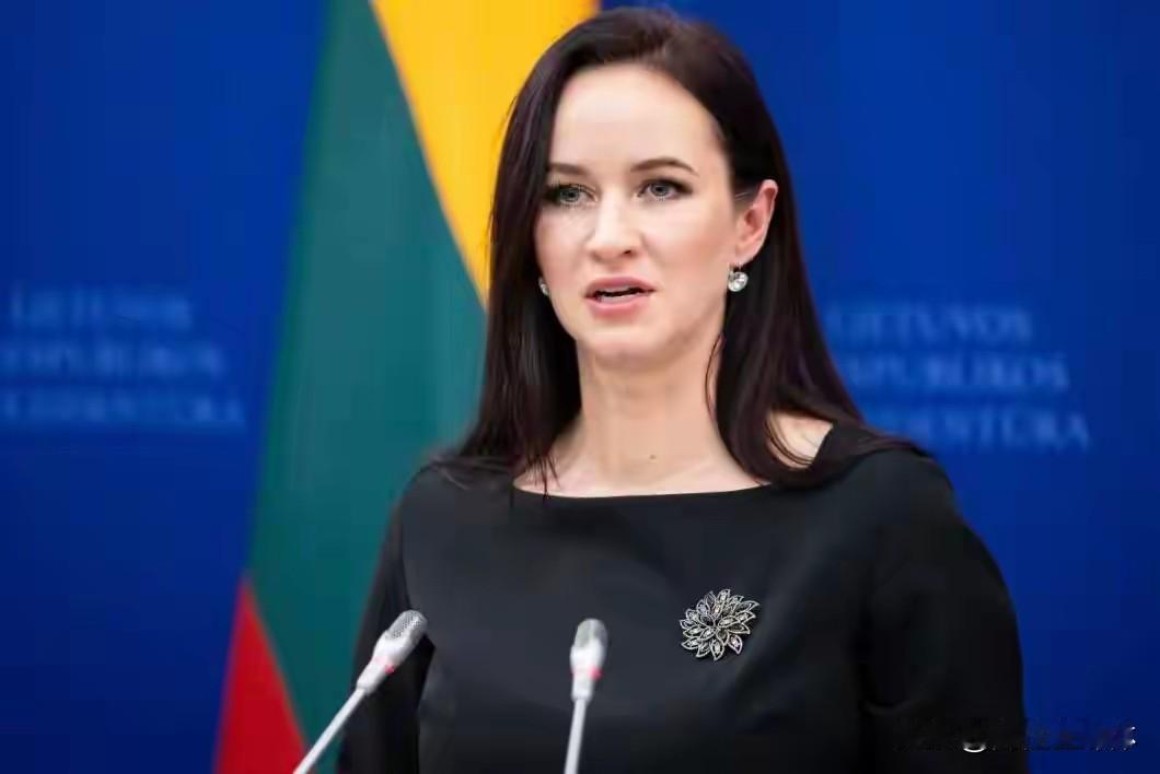 彻底疯了！立陶宛为抱中国大腿，当众给美国一刀！曾经疯狂反华、冲在最前面当炮