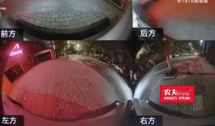 “自己太无辜了！”浙江杭州的单女士的新能源车只是有点小刮擦，就送到修理厂维修，本