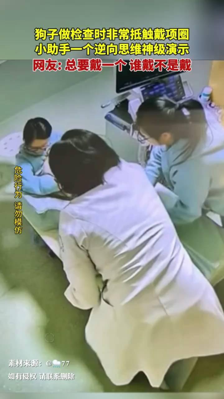 狗子做检查时非常抵触戴项圈，小助手一个逆向思维神级演示。网友：总要戴一个，谁戴